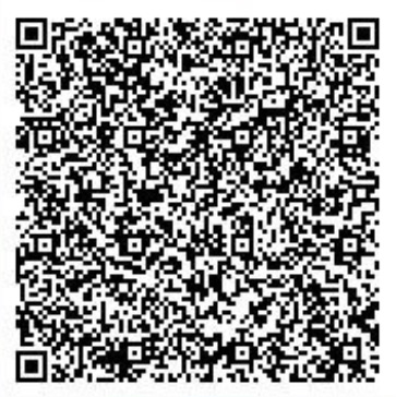 Secret Base QR Codes Gallery - Pokémon ORAS Wiki