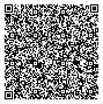 Secret Base QR Codes Gallery - Pokémon ORAS Wiki