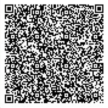 Secret Base QR Codes Gallery - Pokémon ORAS Wiki