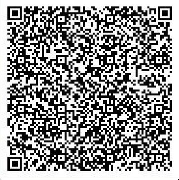 Secret Base QR Codes Gallery - Pokémon ORAS Wiki