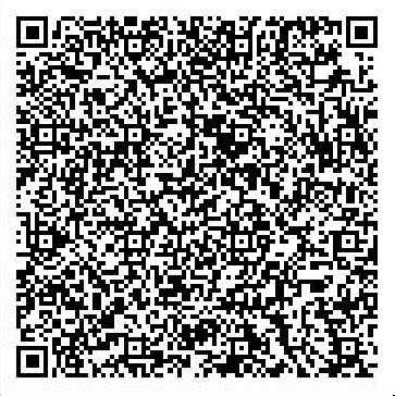 Secret Base QR Codes Gallery - Pokémon ORAS Wiki