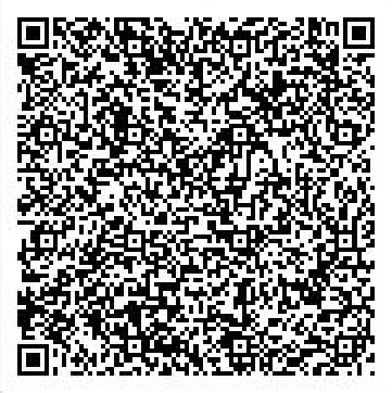 Secret Base QR Codes Gallery - Pokémon ORAS Wiki