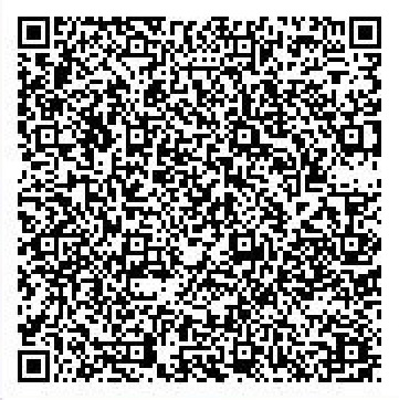 Secret Base QR Codes Gallery - Pokémon ORAS Wiki