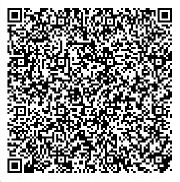 Secret Base QR Codes Gallery - Pokémon ORAS Wiki