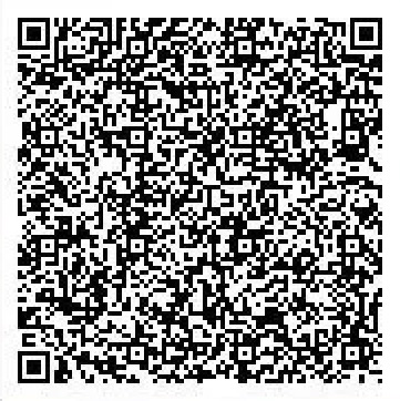 Secret Base QR Codes Gallery - Pokémon ORAS Wiki