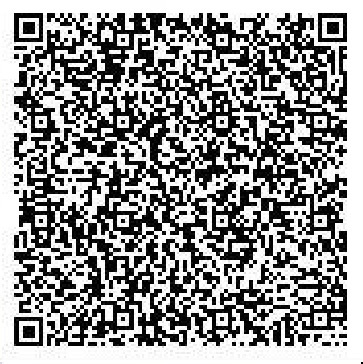 Secret Base QR Codes Gallery - Pokémon ORAS Wiki