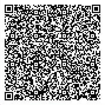Secret Base QR Codes Gallery - Pokémon ORAS Wiki