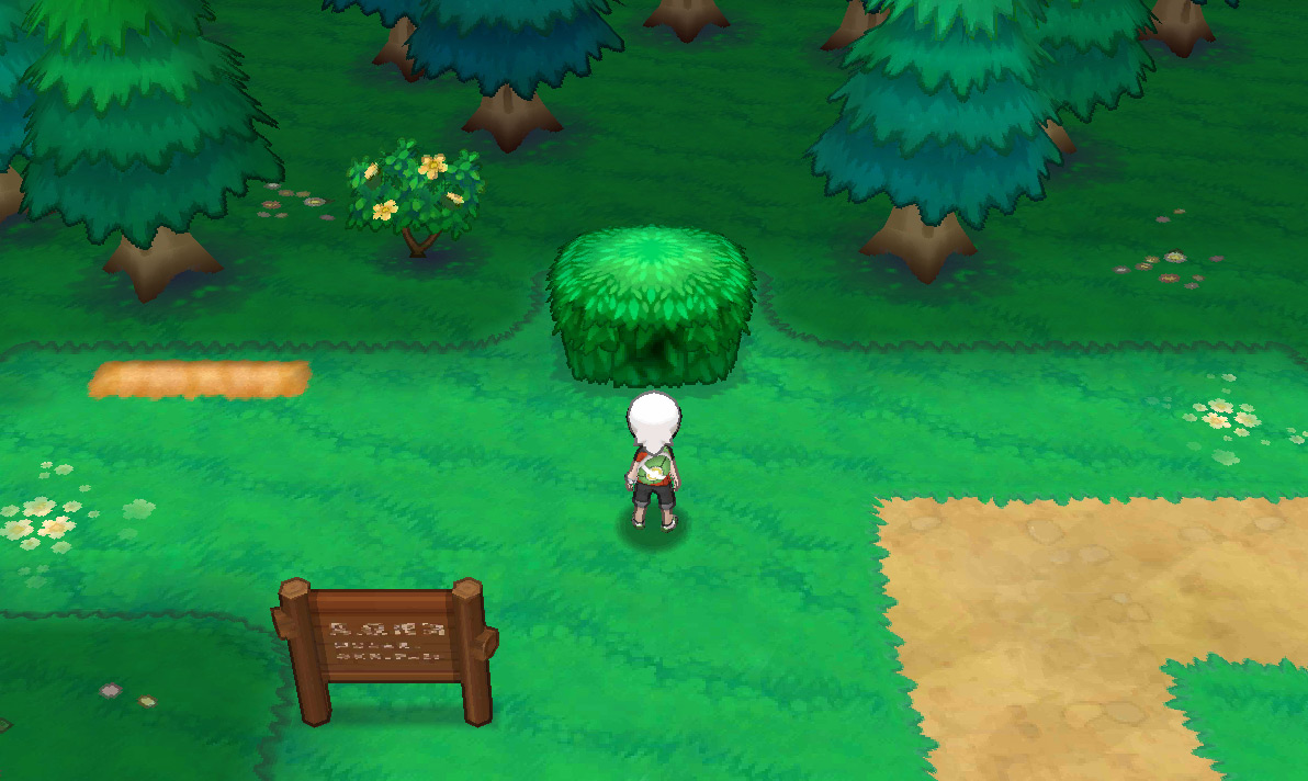 Super-Secret Bases - Pokémon ORAS Wiki