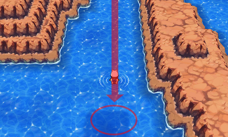 The closest Dive spot to the Insect Plate on Route 127.