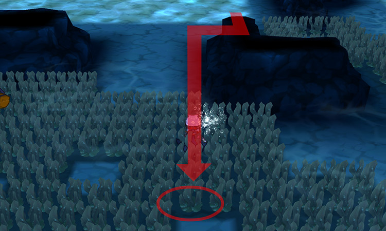 The Splash Plate’s location.