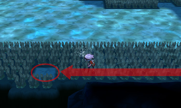 The hidden Toxic Plate’s precise location.
