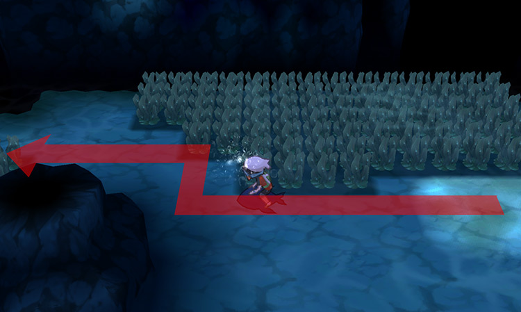 Diving on Route 129.