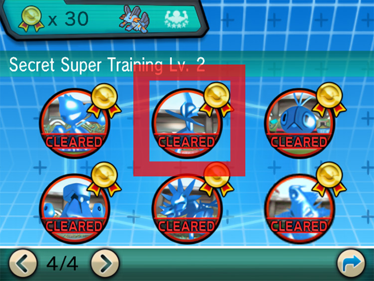 Stages of Secret Super Training
