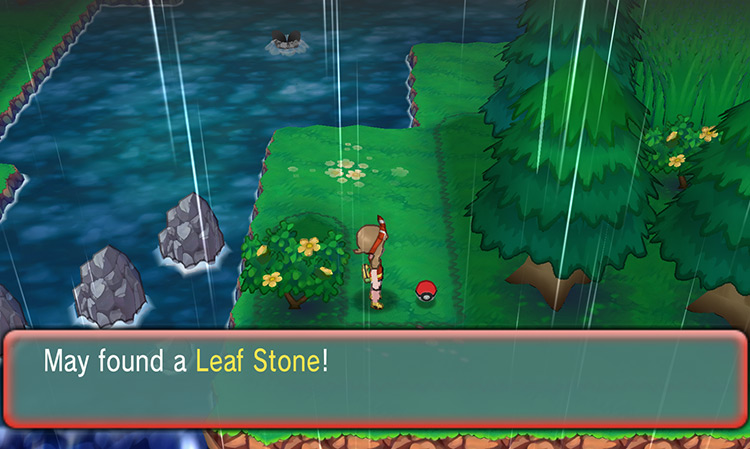 Obtaining a Leaf Stone on Route 119.