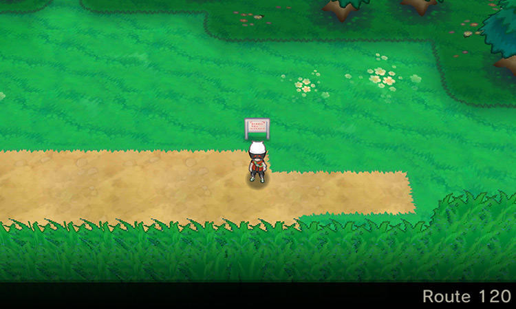 The Route 120 signpost