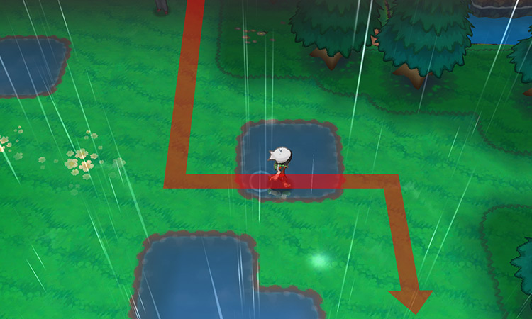 Walking on Route 120