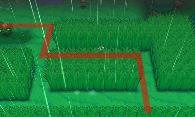 Walking through the tall grass on Route 120