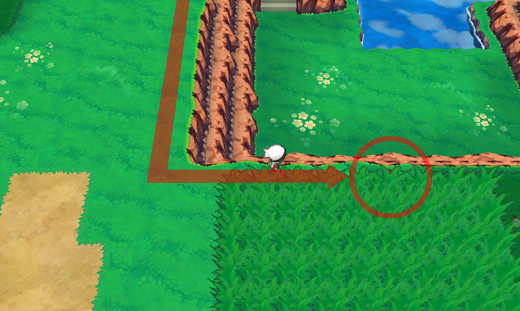 The Light Ball on Route 120