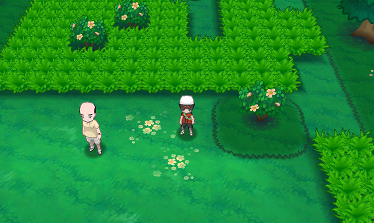 The southeast side of the Safari Zone