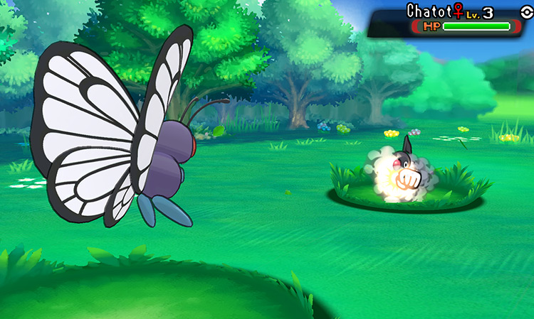 Using TM46 Thief on a wild Chatot / Pokémon ORAS