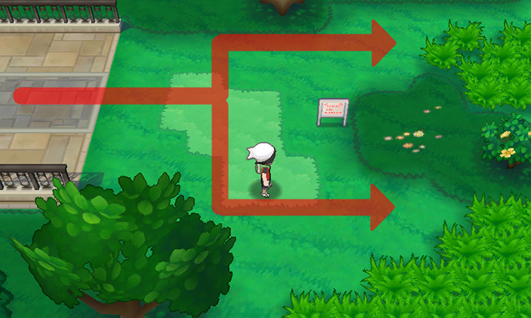 Forked path at the entrance of Route 116
