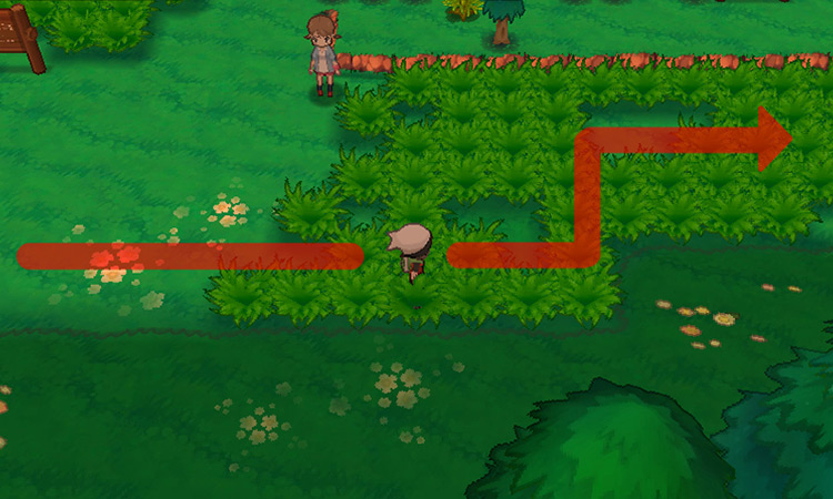 Walking along the second grass patch while staying away from the trainers’ line of sight