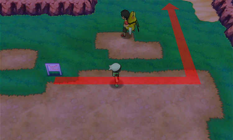 At the Route 111 signpost.