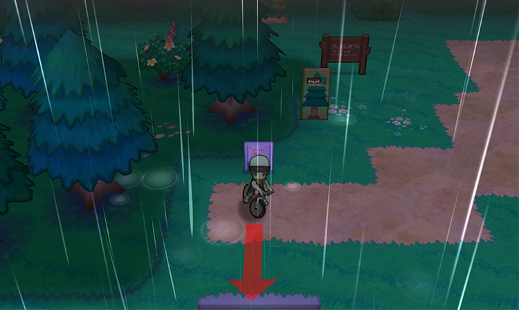 Route 119 signpost (raining).