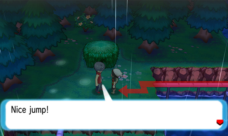 Speaking to the Bird Keeper on Route 119.