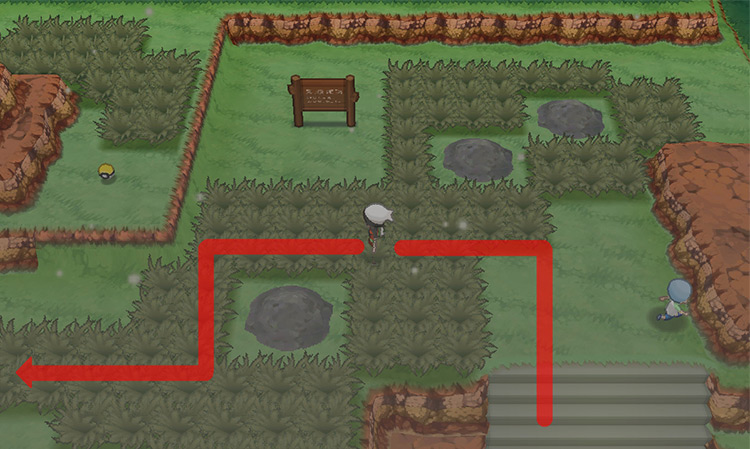 Heading west on the upstairs part of Route 113 while avoiding the Ninja Boy trainer