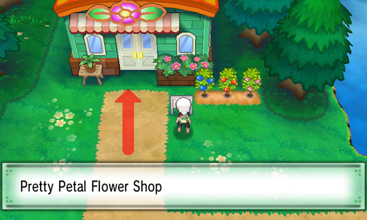 Arriving at the Pretty Petal Flower Shop on Route 104