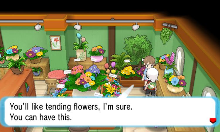 Obtaining the Wailmer Pail inside the Pretty Petal Flower Shop