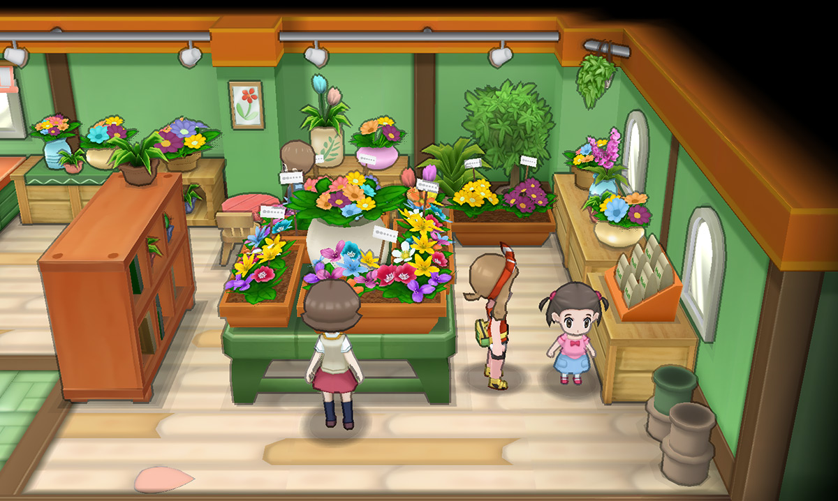 Inside the flower shop / Pokémon Omega Ruby and Alpha Sapphire