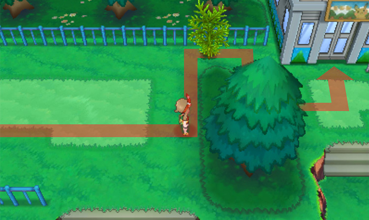 In front of the Safari Zone