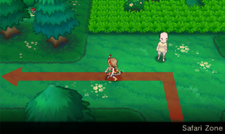 Biking inside the Safari Zone