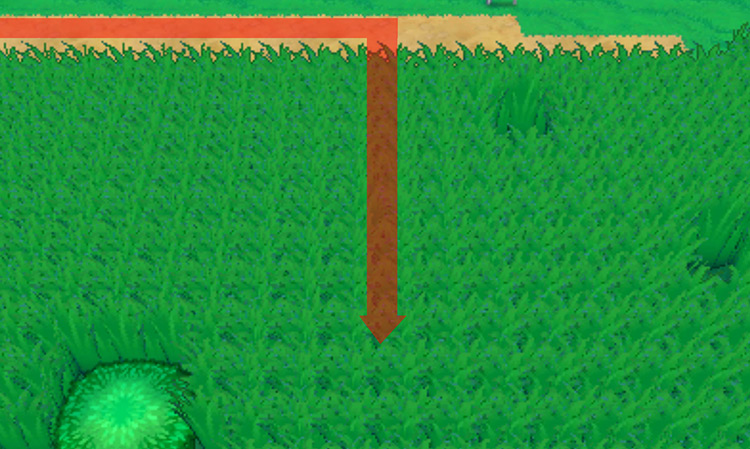 Inside Route 120’s tall grass