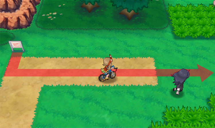 Biking along Route 121
