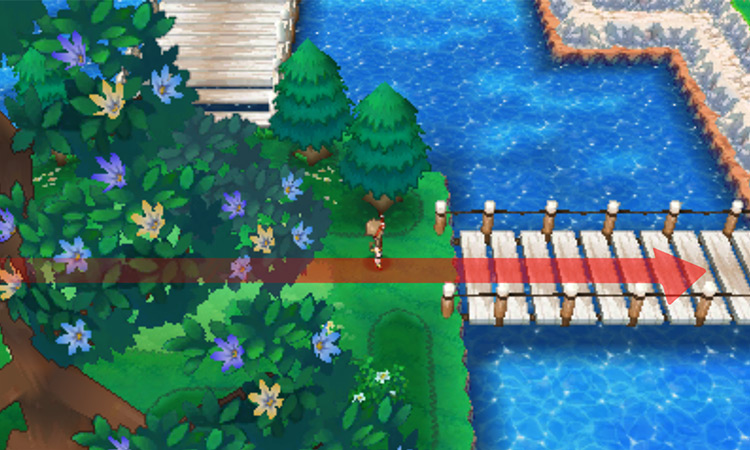 Walking past the giant tree