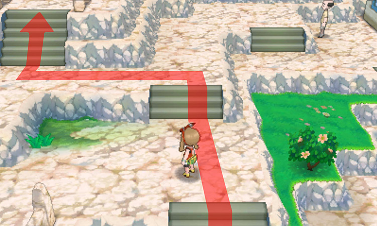 The correct path to take